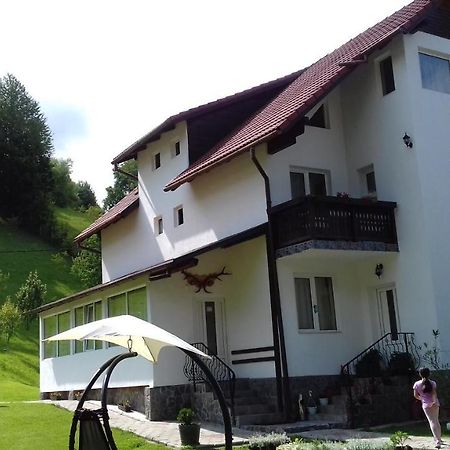 Pensiunea Vladut Bran  Exterior foto