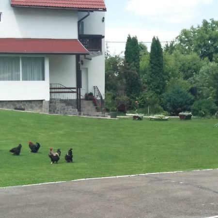 Pensiunea Vladut Bran  Exterior foto